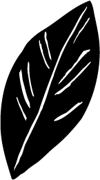 Leaf Icon
