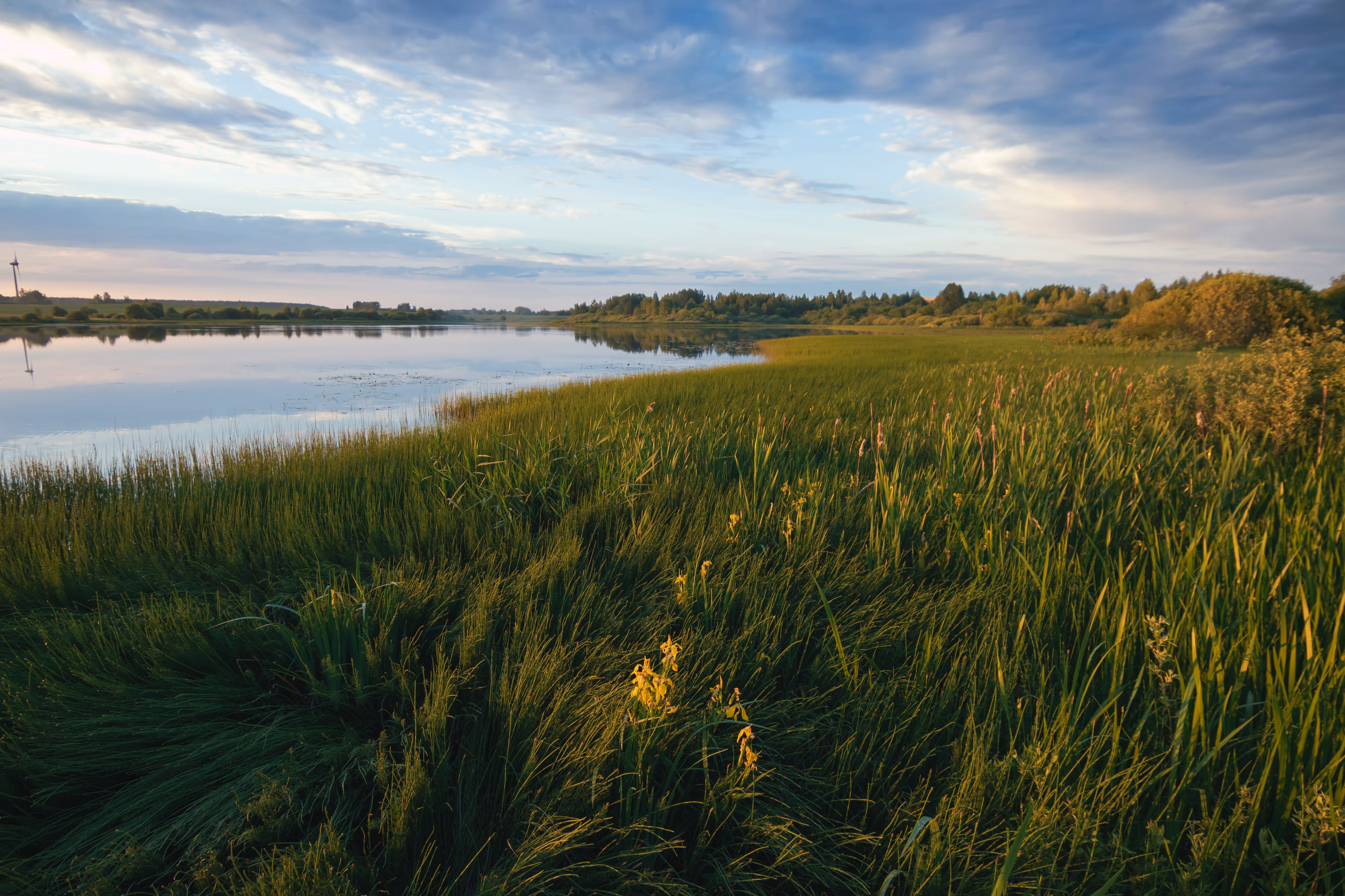 Restored wetland landscape with lush vegetation and calm lake reflections, representing the environmental consulting and land reclamation work Earthmaster Environmental Consulting manages using Matidor for project and budget tracking.