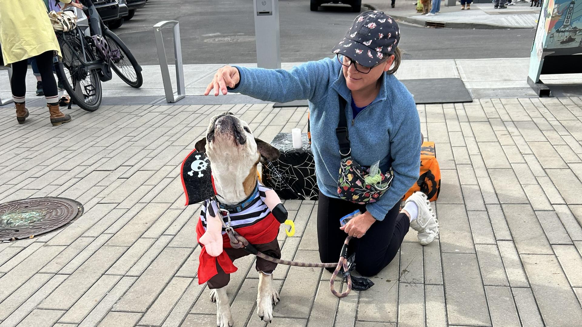 Pup Crawl Event in Kensington Calgary