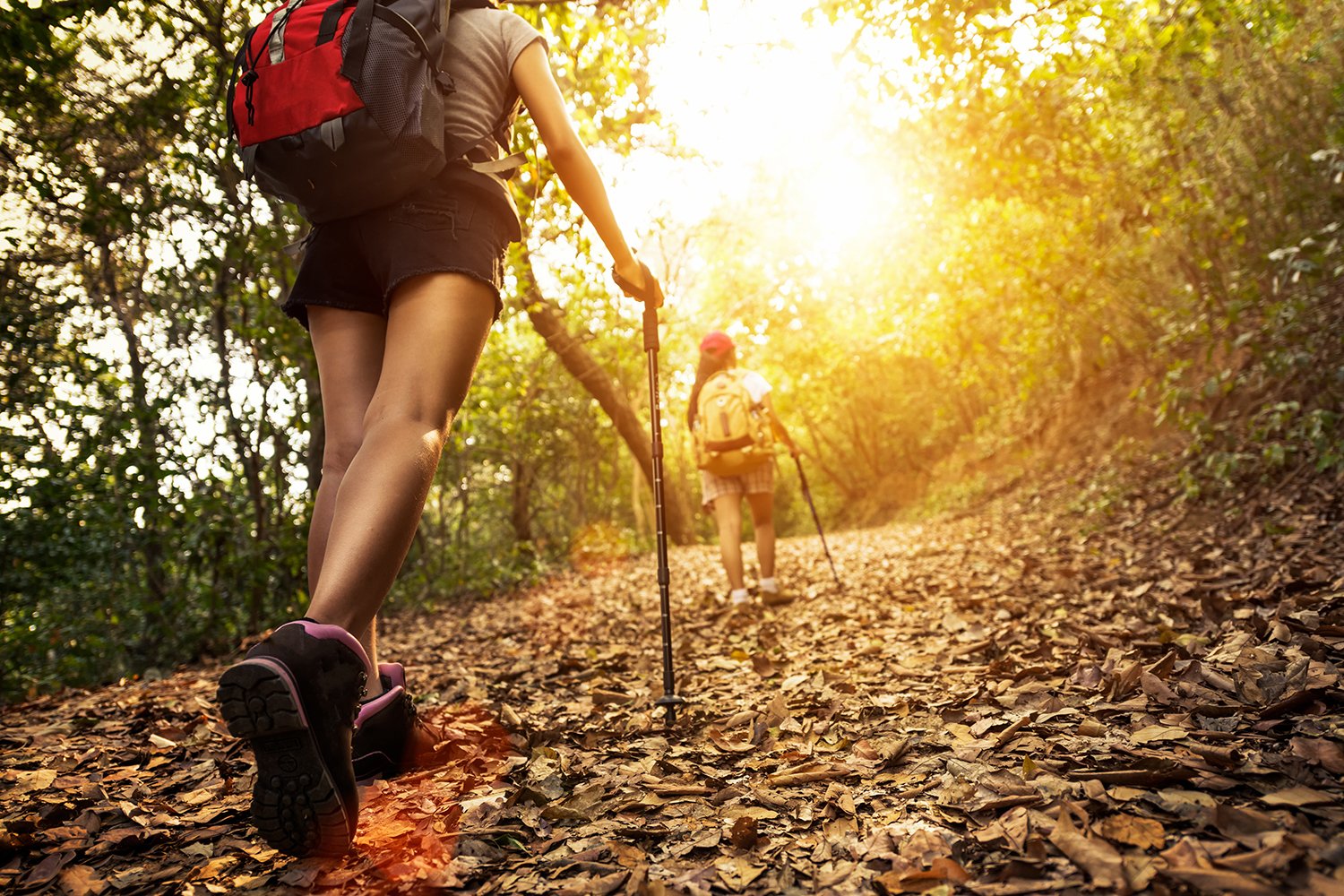Two hikers walking on a leaf-covered forest trail with trekking poles during golden sunlight.