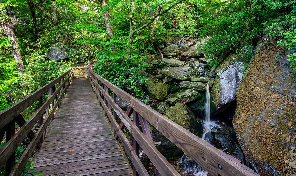 Wooden footbridge crossing a rocky stream with a small waterfall surrounded by lush green forest.