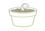 Small plant sprouting from soil in a white pot.