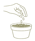 Hand sprinkling seeds into a small pot filled with soil.