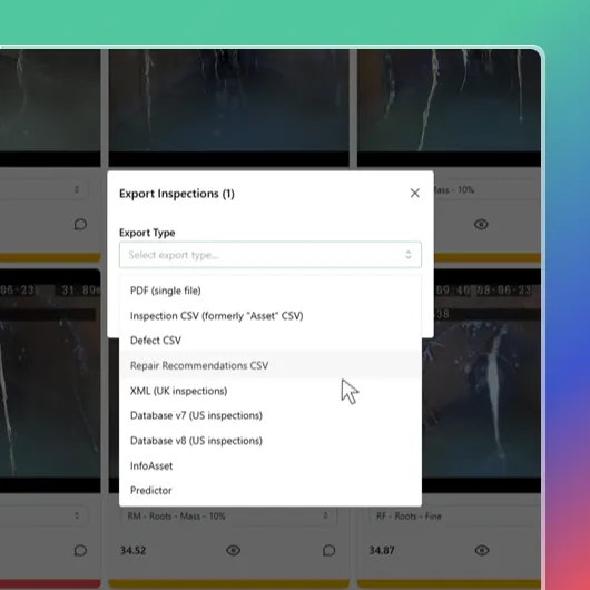 UI element showing export options