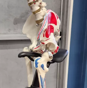 riding bike with nose saddle too high