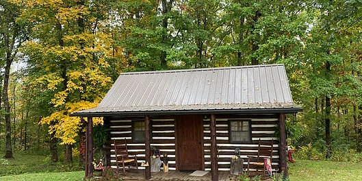 Small log cabin with metal roof and walls surrounded by green grass and trees with autumn foliage.