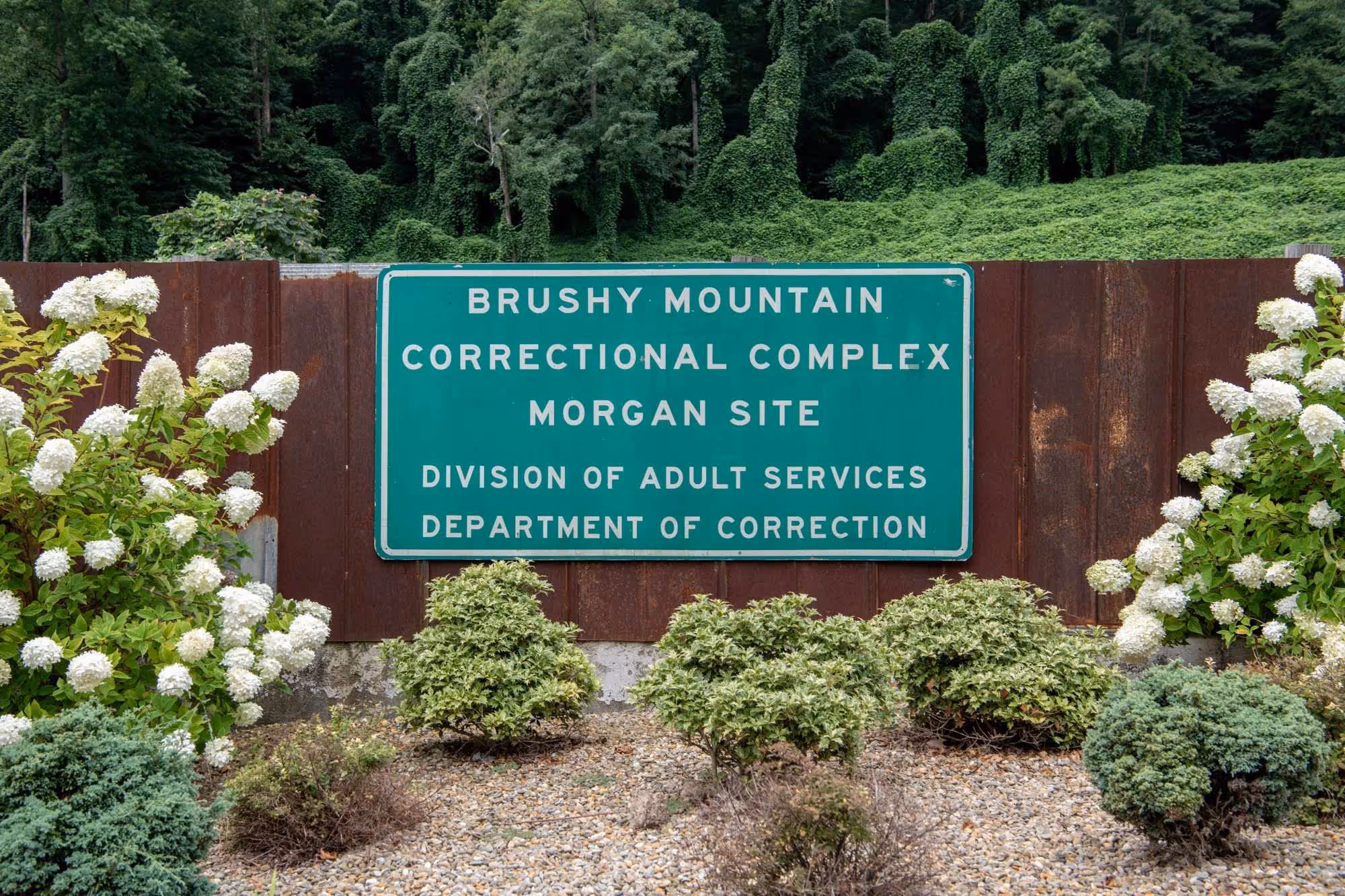 Green sign reading Brushy Mountain Correctional Complex Morgan Site Division of Adult Services Department of Correction, surrounded by bushes and white flowers.