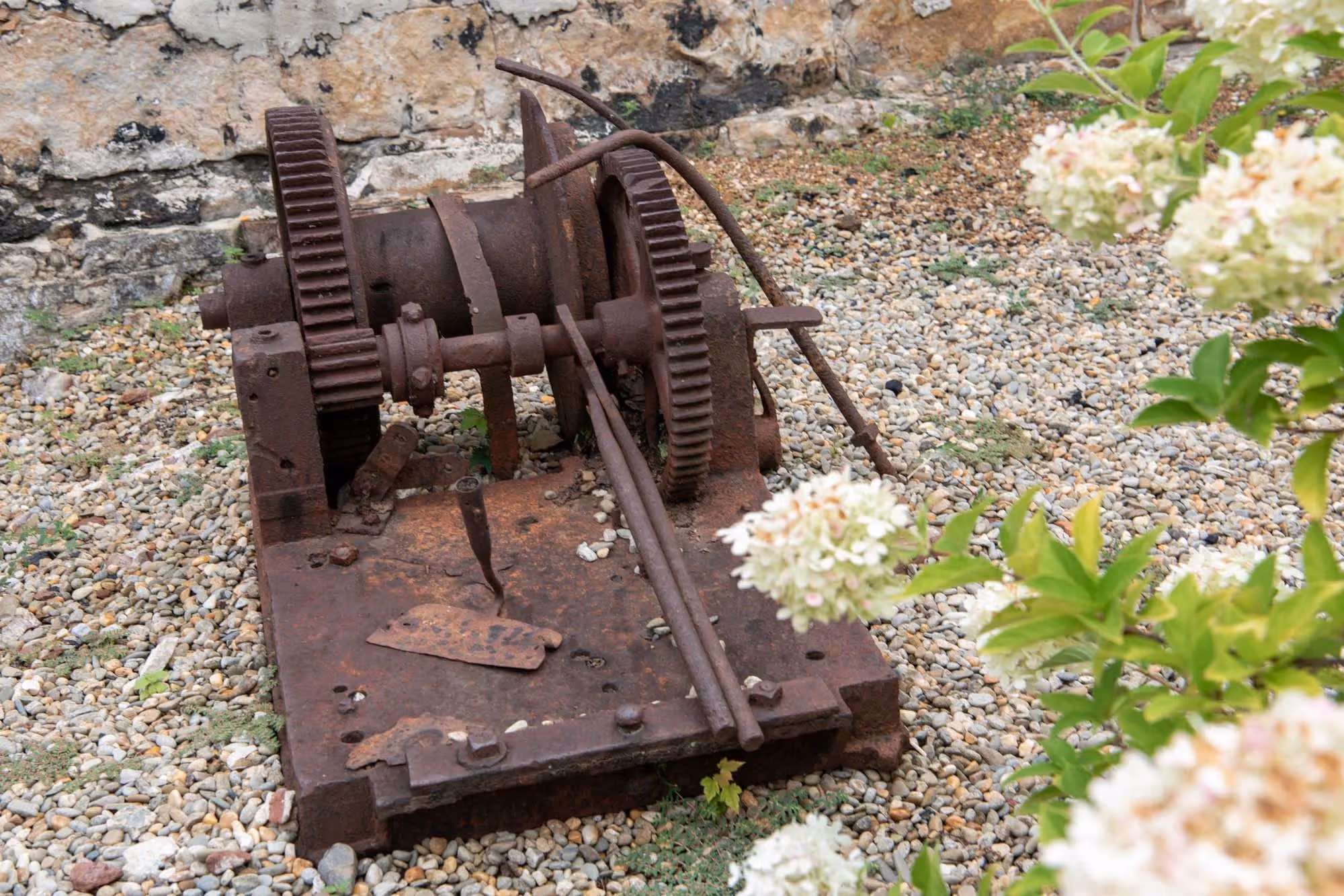 Rusty old industrial machine with large gears, placed on gravel near a stone wall and flowering plants.