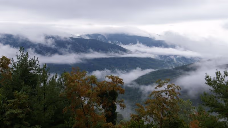 Fog rolling over forested mountains under a cloudy sky.
