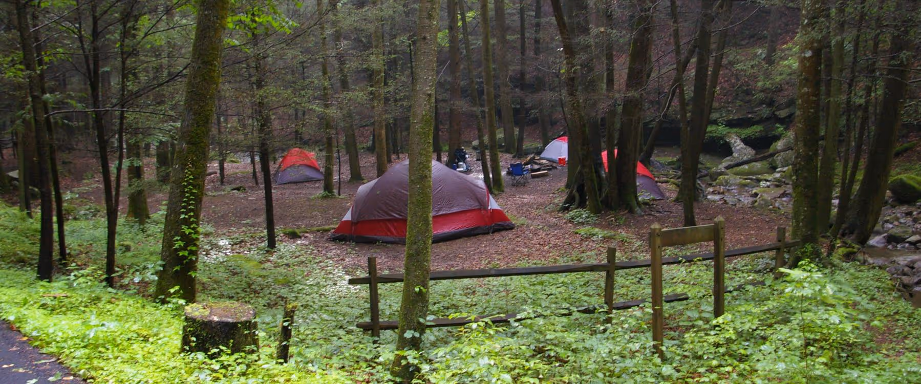 Forest campsite with multiple red and gray tents surrounded by trees and green undergrowth, with a wooden fence in the foreground.