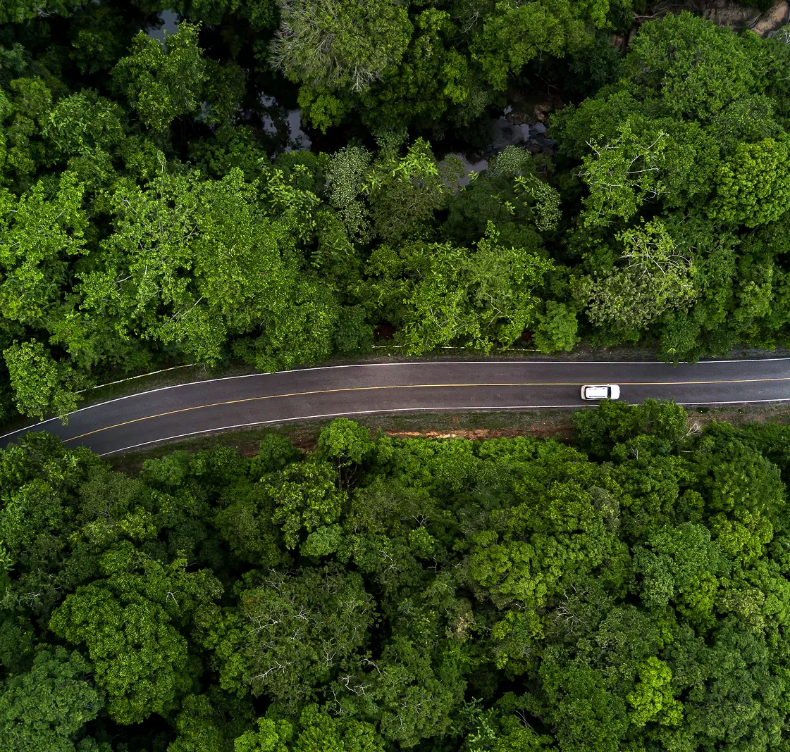Aerial view of a vehicle on a tree-lined road.