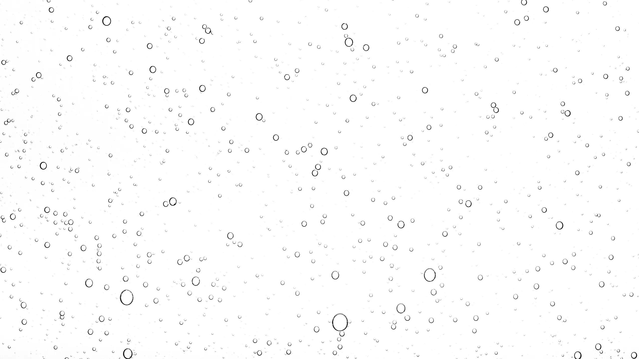 Numerous small and medium bubbles suspended in a clear liquid on a white background.