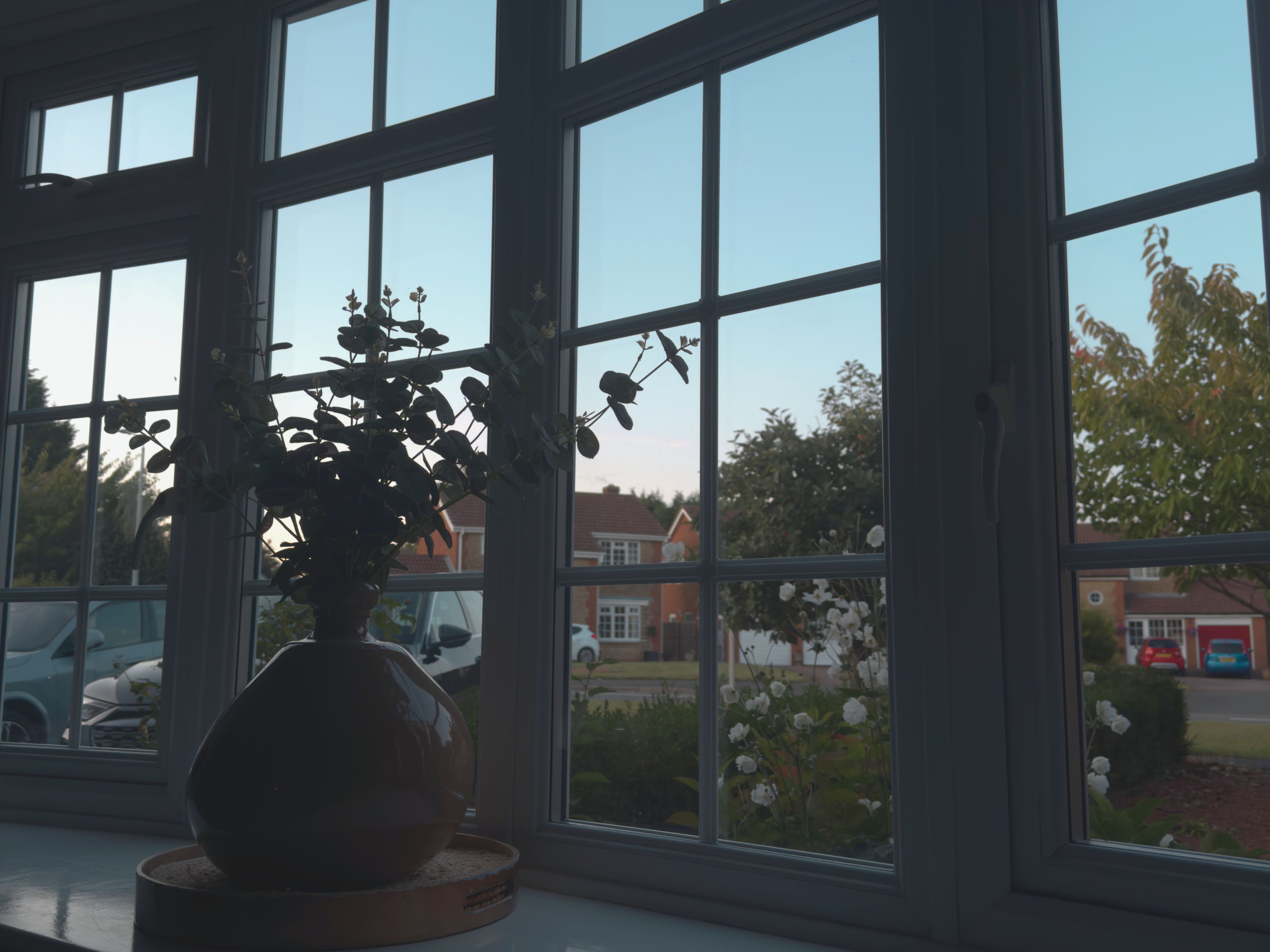 Silhouette of a vase with leafy branches on a windowsill overlooking a suburban neighborhood.