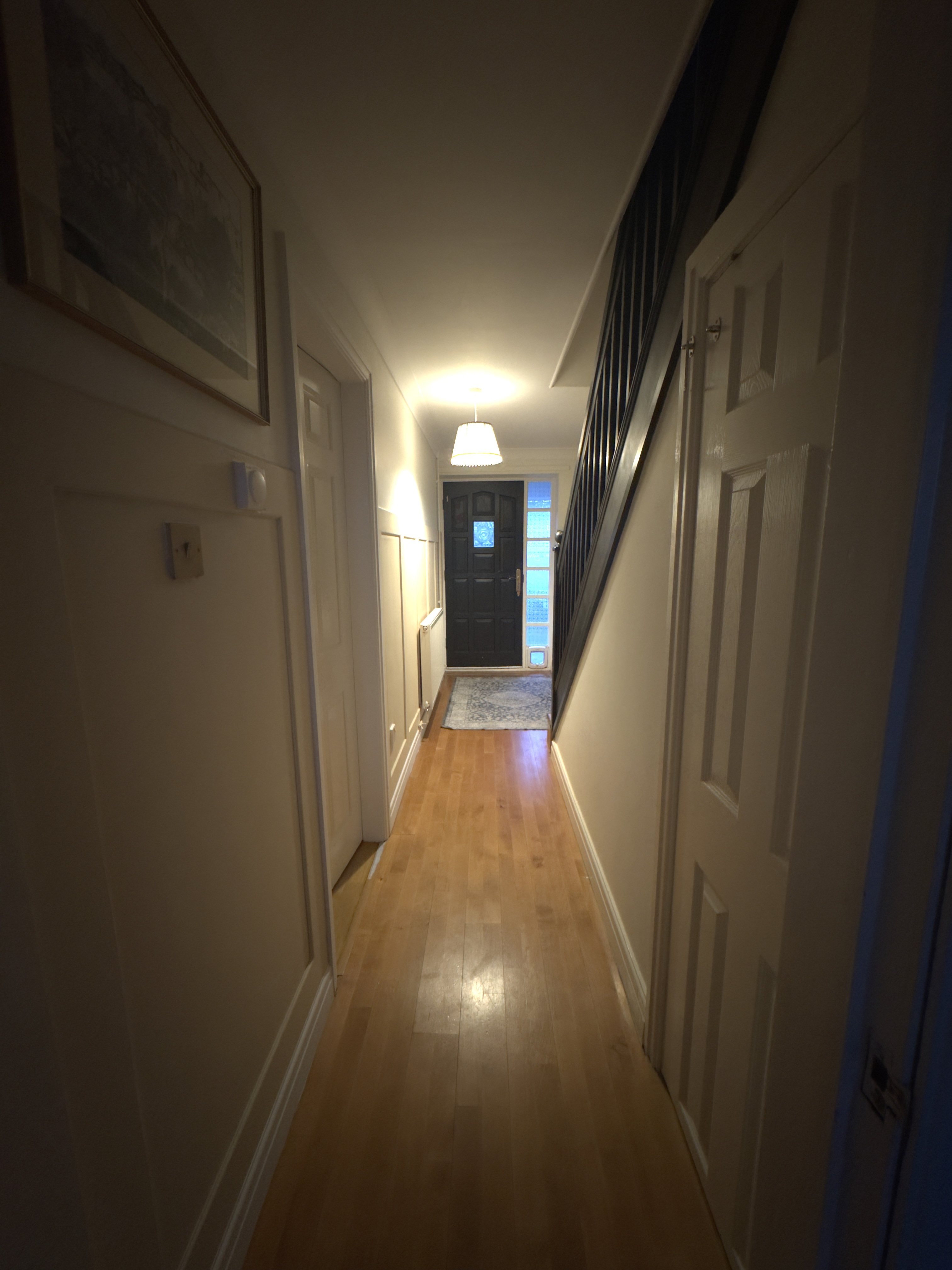 Narrow hallway with wooden floor leading to a black front door with a small window and adjacent glass panels.