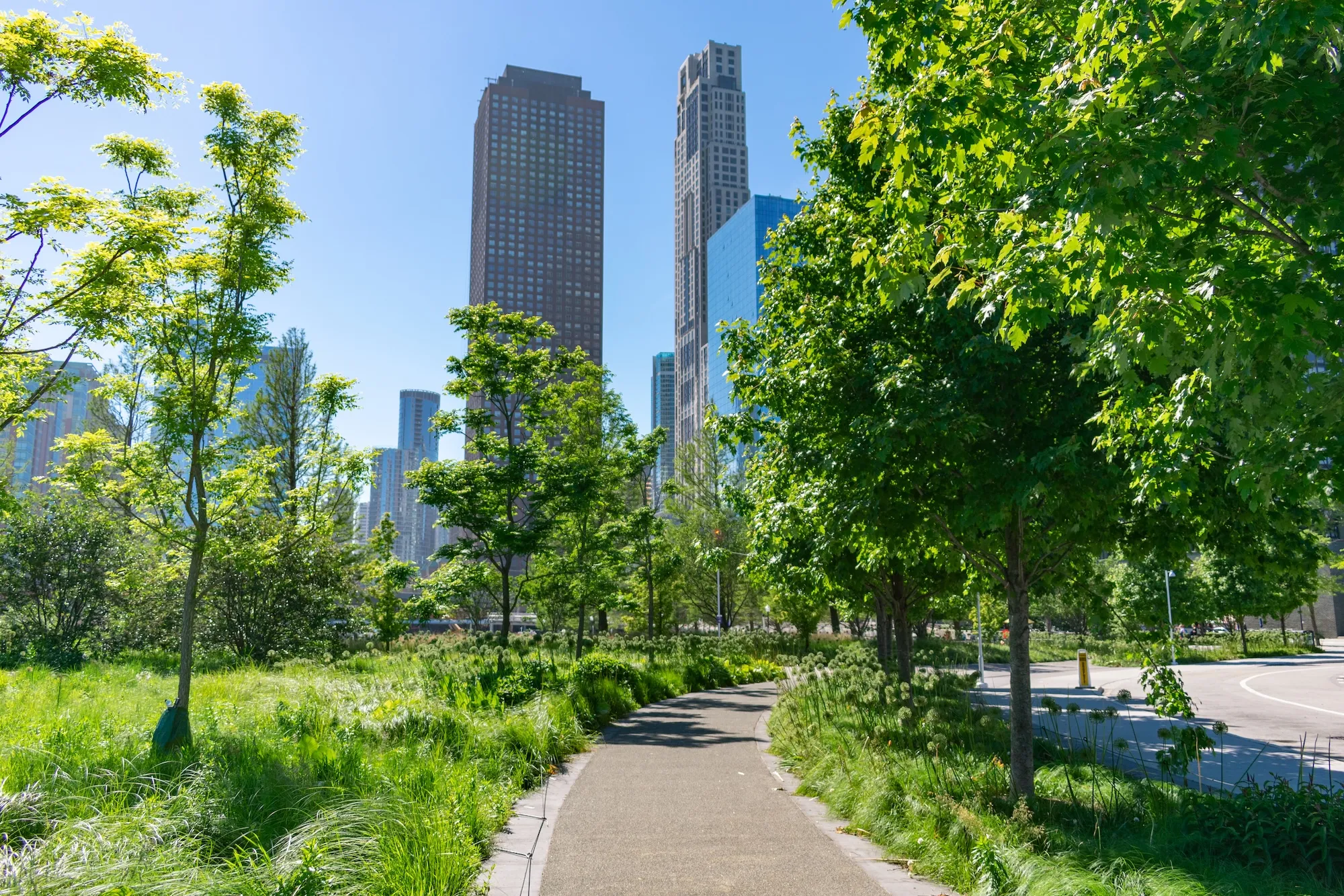 Streeterville neighborhood served by Wood Contracting