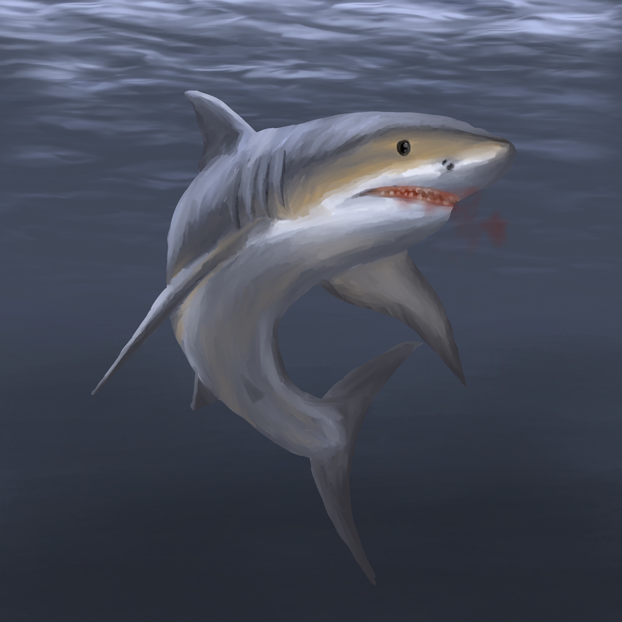 Illustration of a shark swimming.