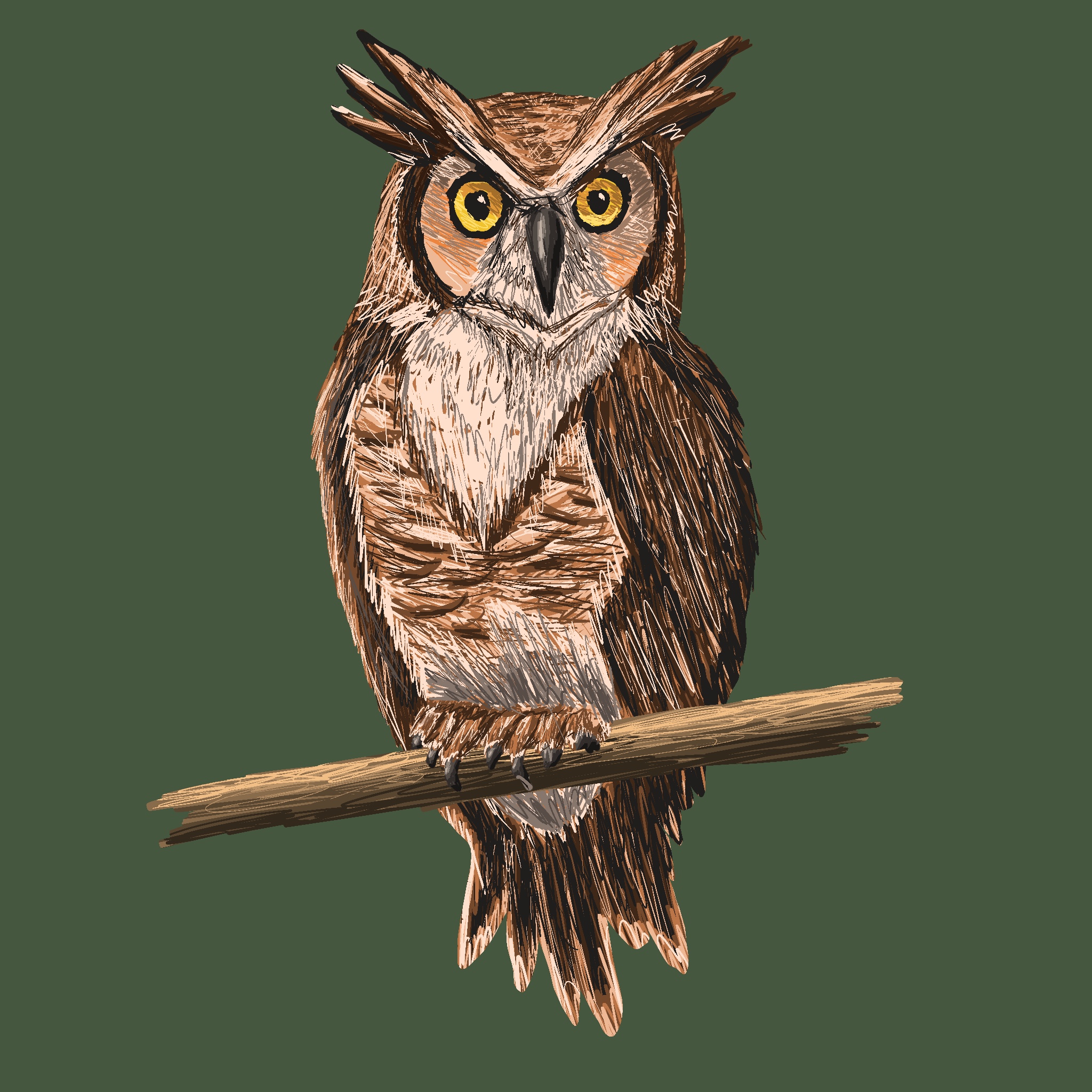 Illustration of an owl sitting on a branch.