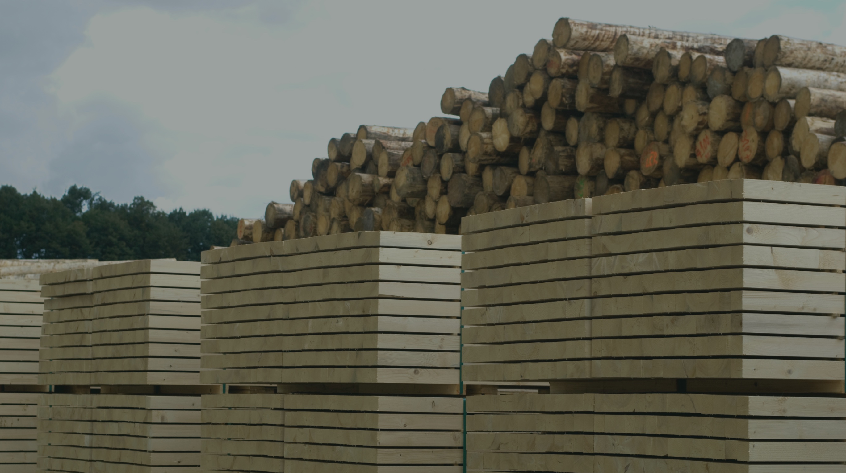 Bundles of freshly cut lumber with neatly piled round logs in the background under a cloudy sky.