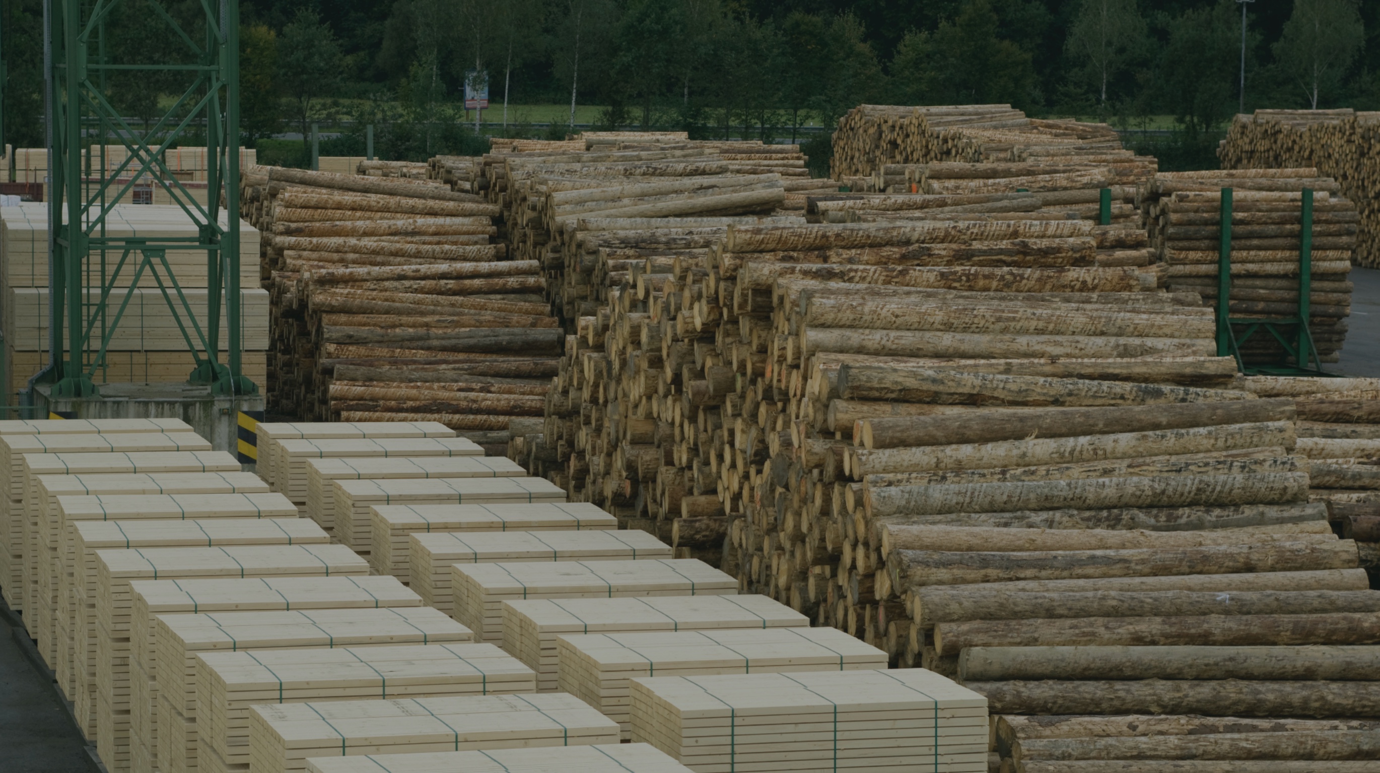Stacks of raw logs and neatly bundled lumber planks at a timber processing yard.