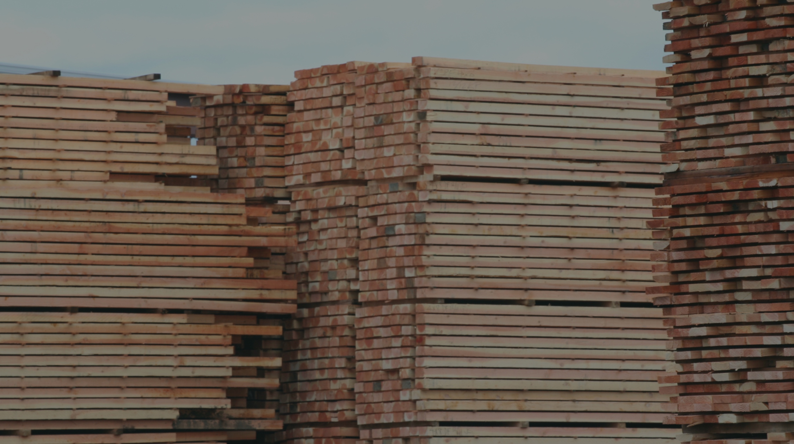 Bundles of hardwood lumber outdoors.