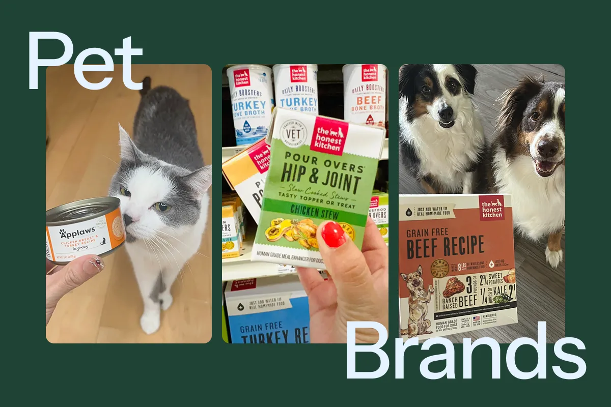 Target store — a retail partner for Hummingbirds creator campaigns