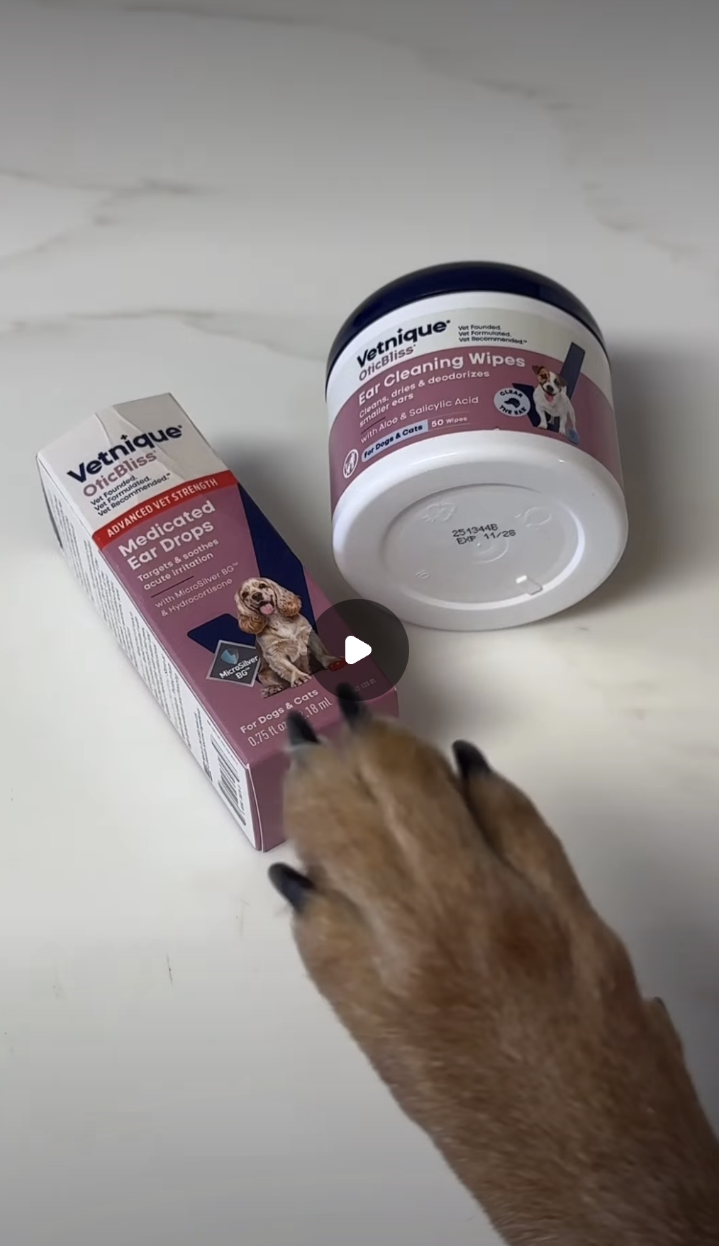 Vetnique campaign content inside the Hummingbirds platform