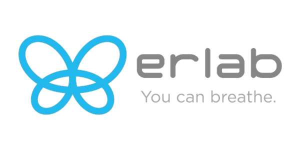 Erlab