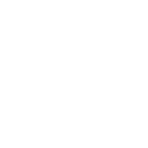 White globe icon with horizontal and vertical lines on a black background.