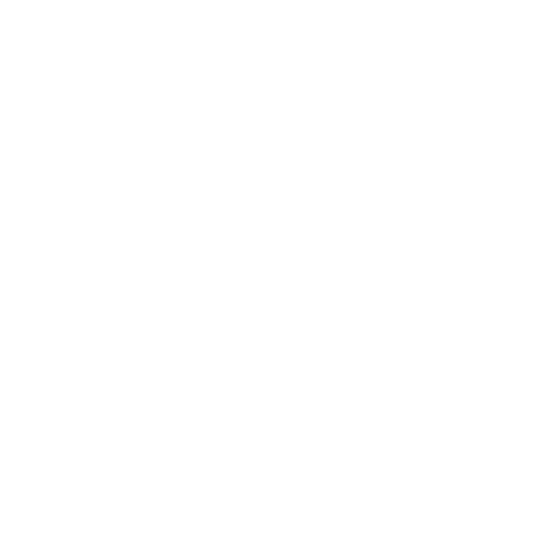 White globe icon with horizontal and vertical lines representing a network or the internet.