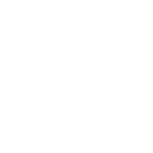White globe icon with vertical and horizontal lines on black background.