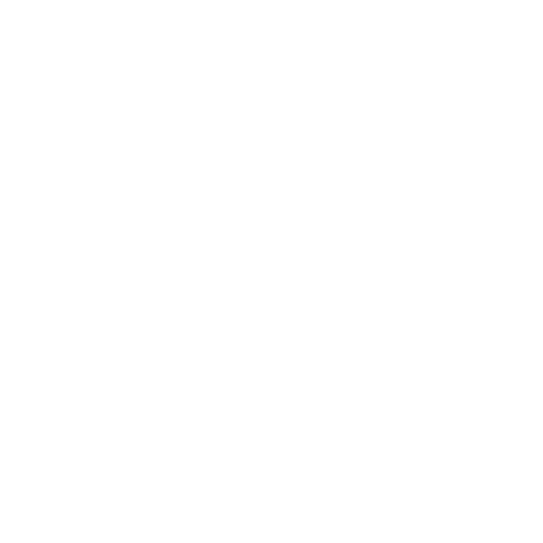 White globe icon with horizontal and vertical lines representing the Earth.