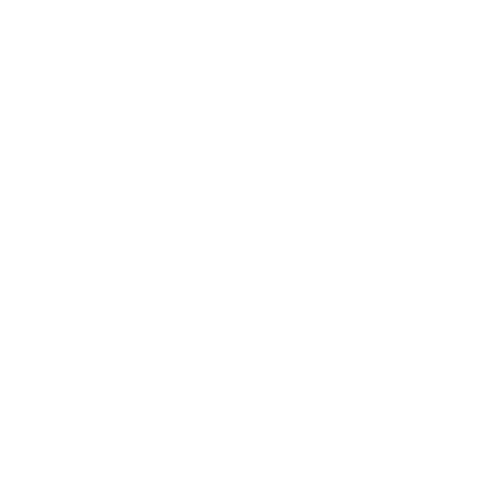 White globe icon with longitudinal and latitudinal lines on a black background.