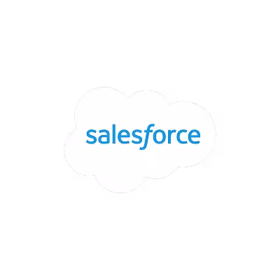 Salesforce-Lizenz