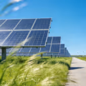 Rows of solar panels installed along a pathway under a clear blue sky with green grass in the foreground.