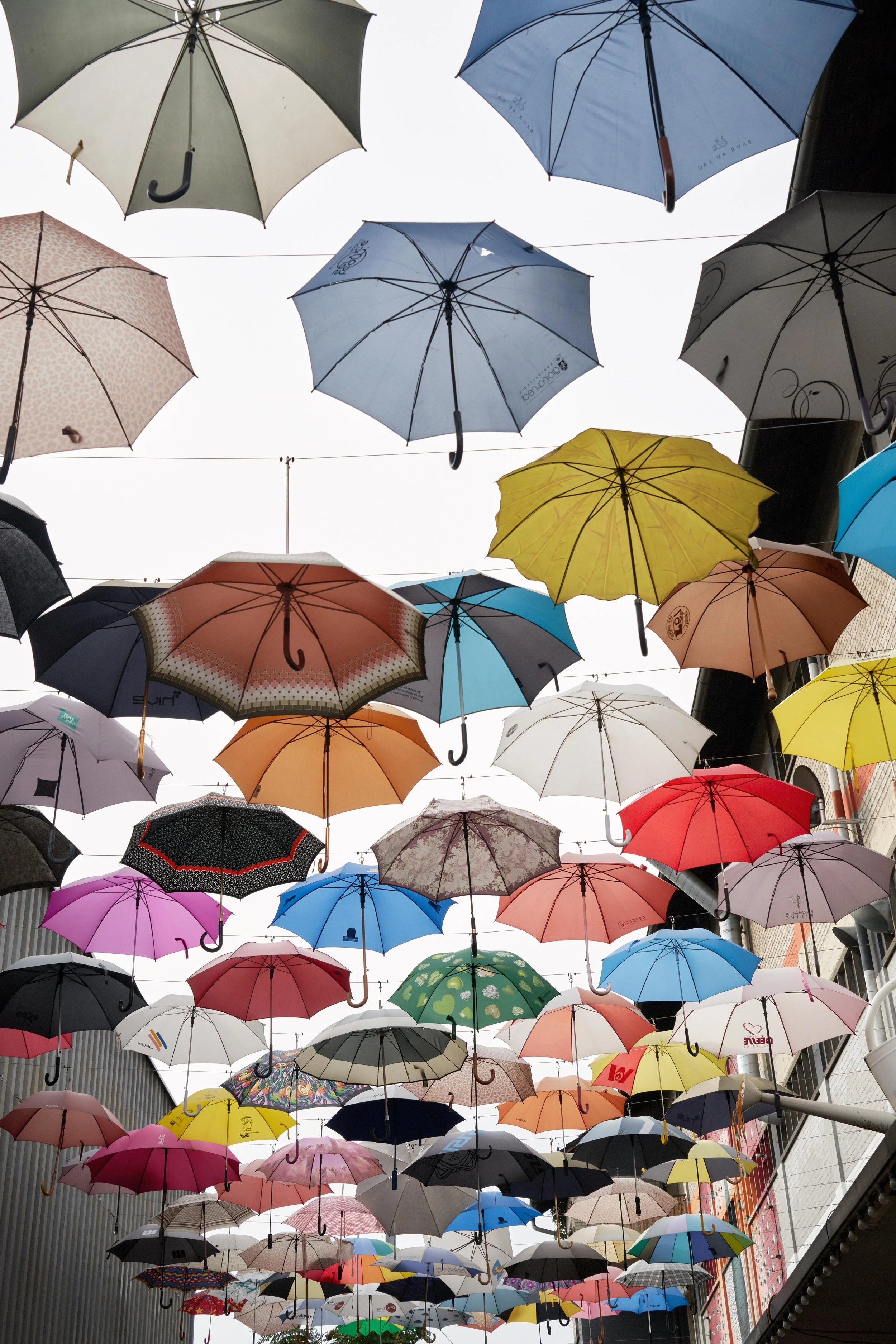 Colorful umbrellas suspended in the air above a narrow street between buildings.