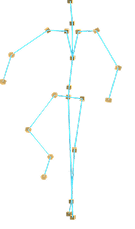 Human motion skeleton data