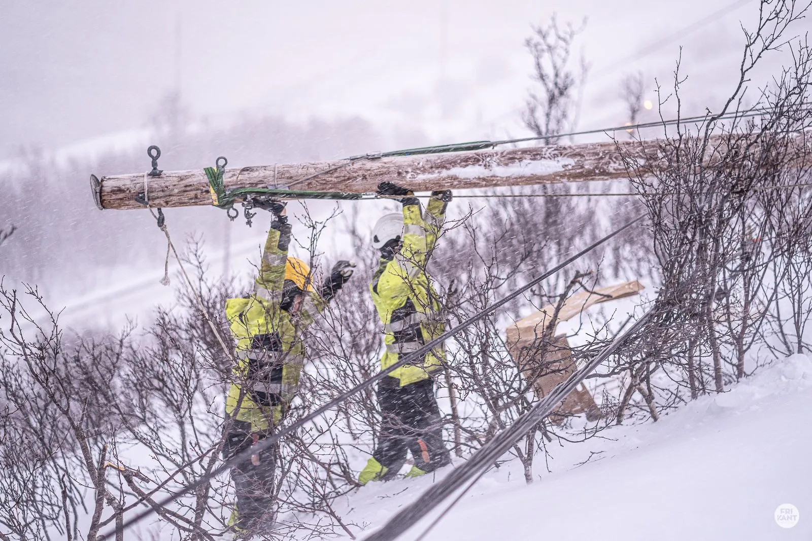 To arbeidere i gule jakker og hjelmer bærer en tung trestolpe gjennom snødekt terreng med busker under snøstorm.