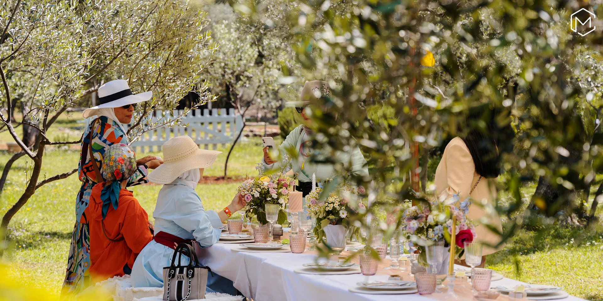 Private picnic setup in a centuries-old olive grove — Adecco Superstars 2026, Montenegro