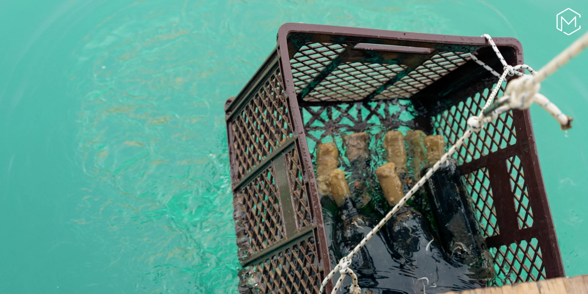 Wine tasting at Montenegro's underwater winery — Adecco Superstars 2026 incentive programme