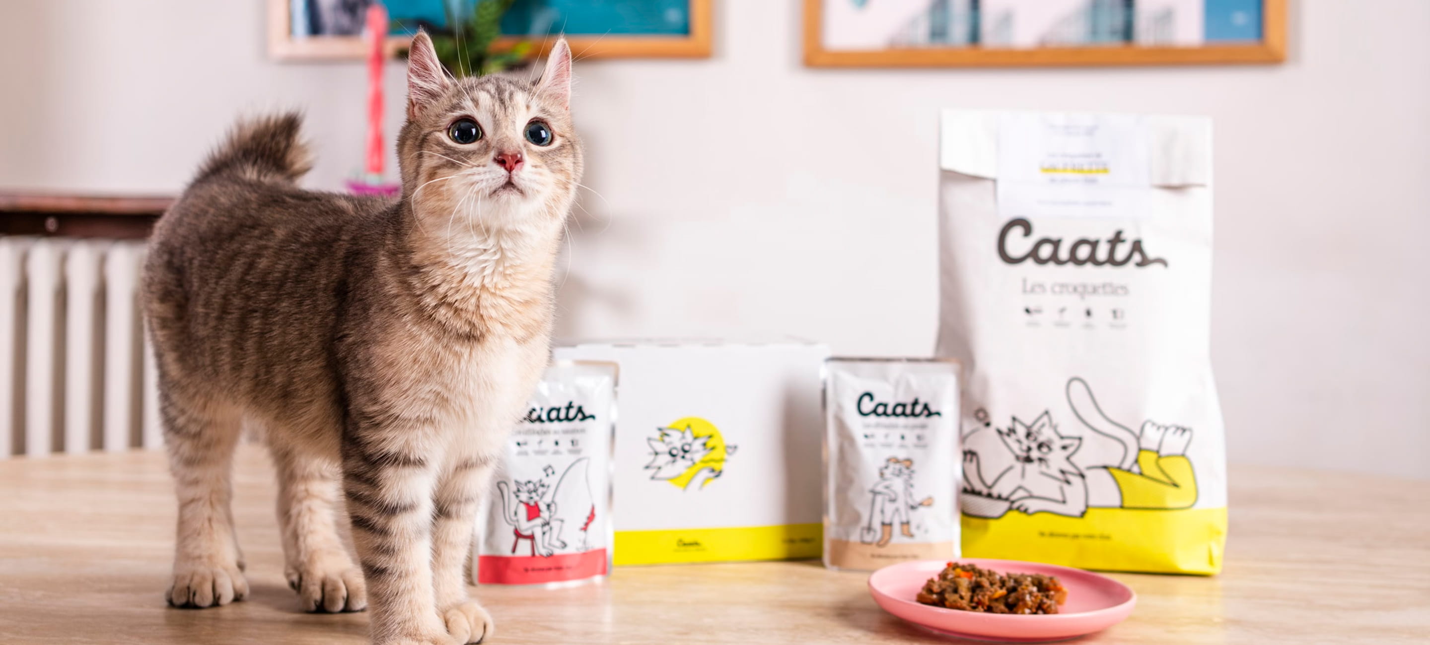 Caats, alimentation premium personnalisée pour chats : visuel de couverture du projet