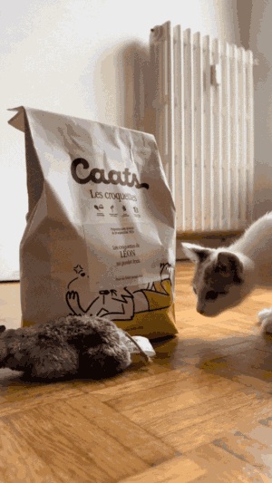 Caats : animation issue de la campagne