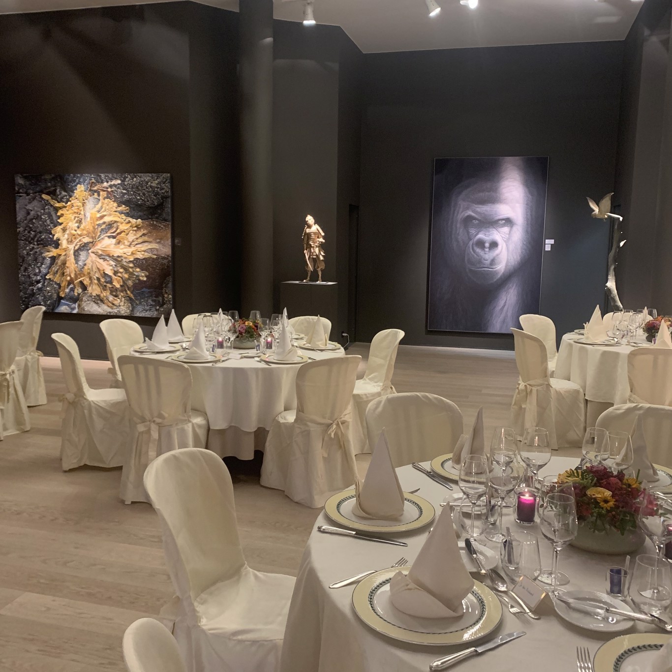 Dedrie Gallery