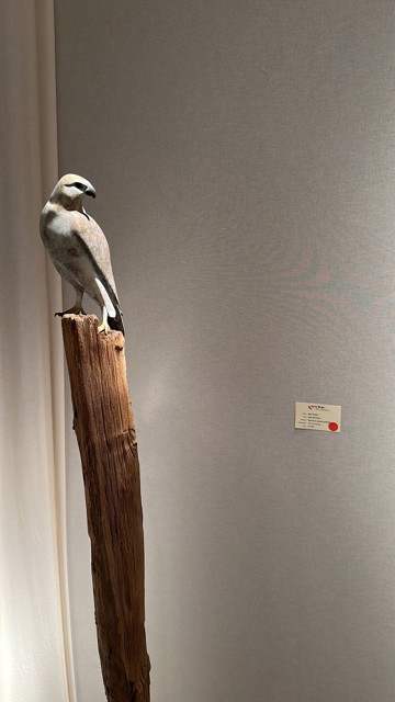 Dedrie Gallery