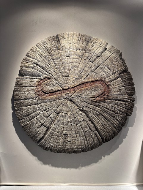 Dedrie Gallery