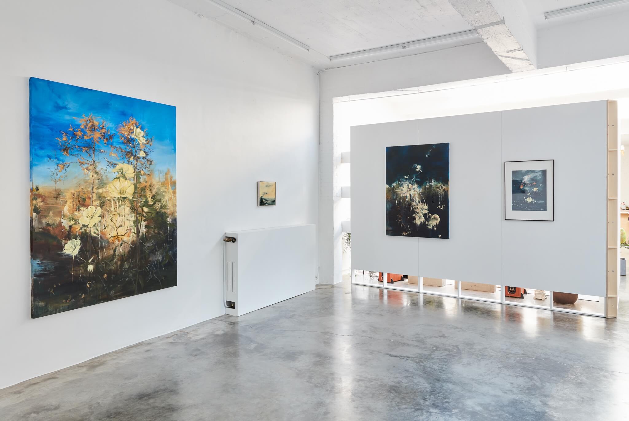 DMW Gallery