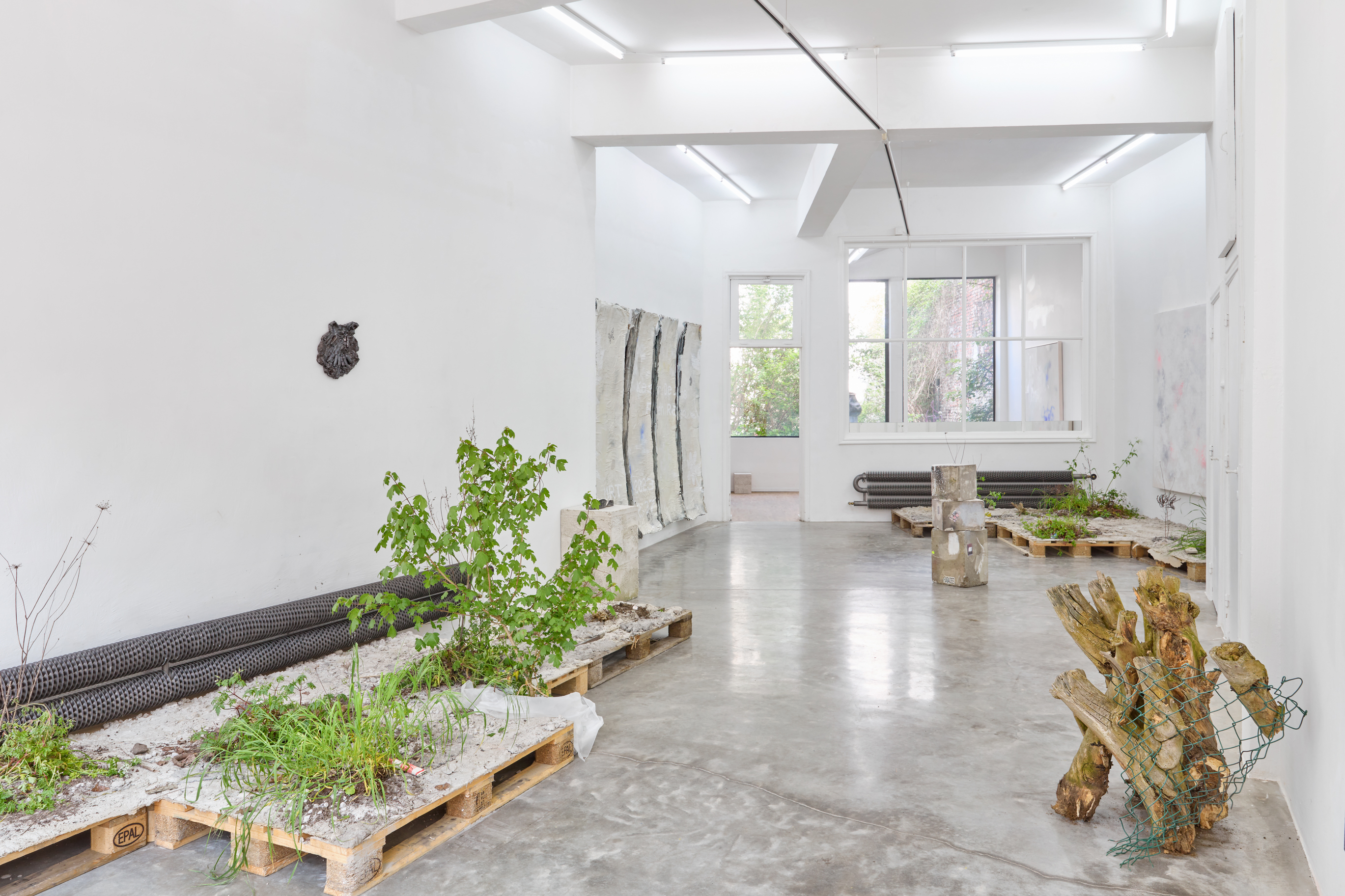 DMW Gallery