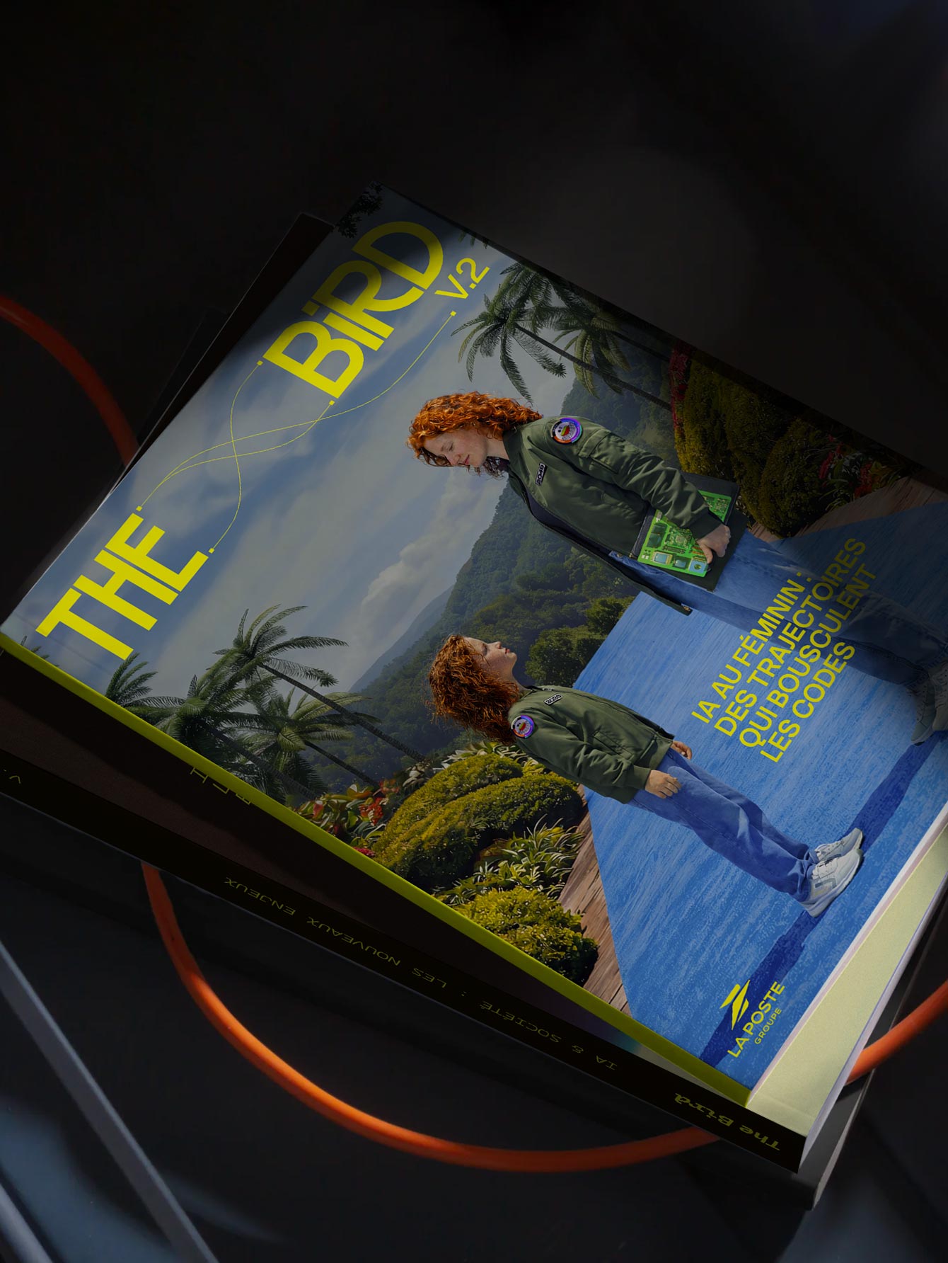 The Bird V2, le livre 
