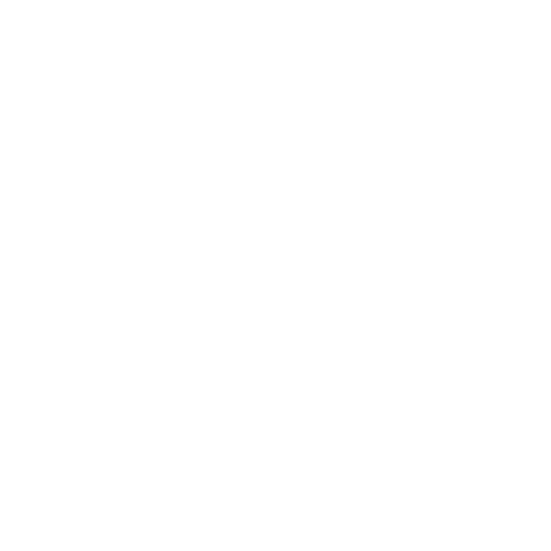 Integration Section Icon