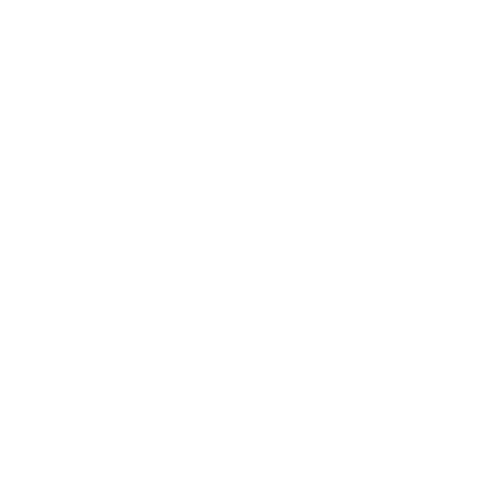 Integration Section Icon