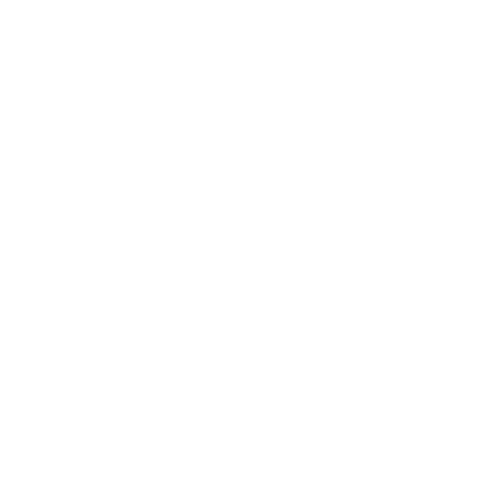 Integration Section Icon